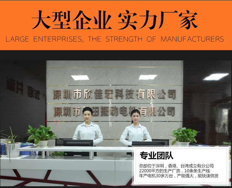 無(wú)刷振動(dòng)電機(jī)