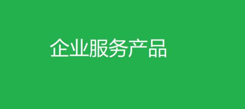 企業(yè)服務產品 從需求洞察到客戶成功的生態(tài)構建
